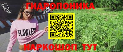MESCALINE Гай